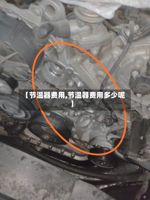 【节温器费用,节温器费用多少呢】-第2张图片