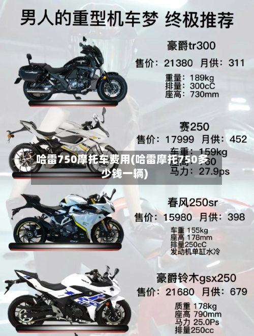 哈雷750摩托车费用(哈雷摩托750多少钱一辆)-第2张图片
