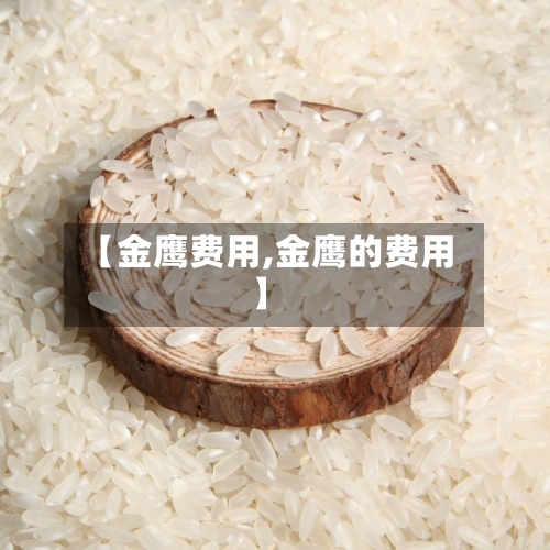 【金鹰费用,金鹰的费用】-第3张图片