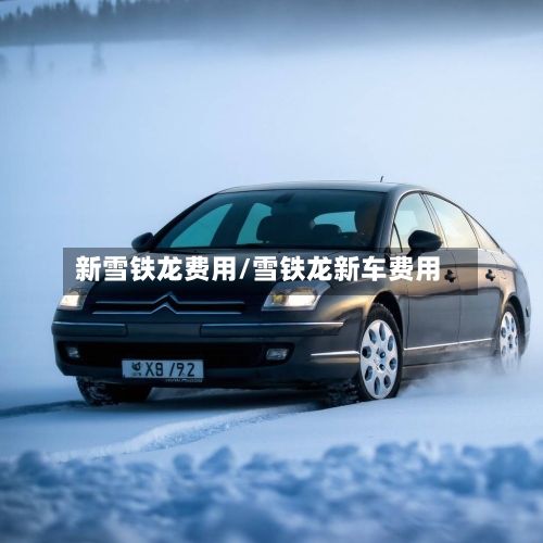 新雪铁龙费用/雪铁龙新车费用