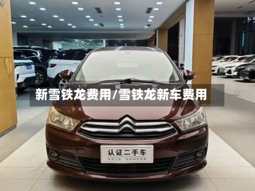 新雪铁龙费用/雪铁龙新车费用-第2张图片