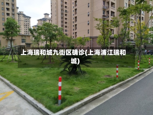 上海瑞和城九街区确诊(上海浦江瑞和城)-第3张图片