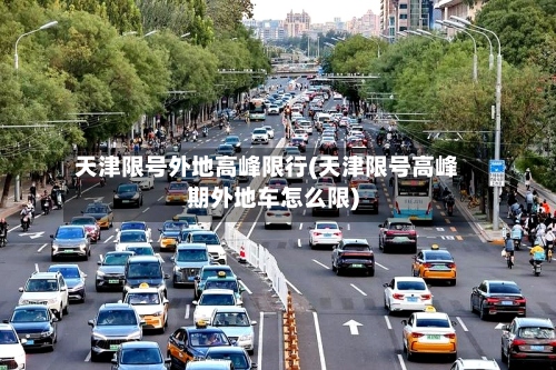 天津限号外地高峰限行(天津限号高峰期外地车怎么限)-第3张图片