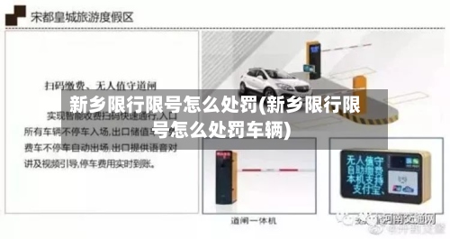 新乡限行限号怎么处罚(新乡限行限号怎么处罚车辆)