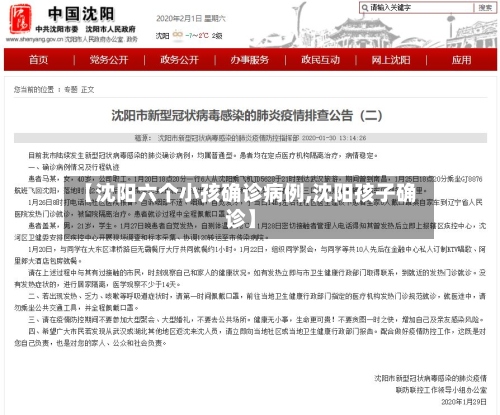 【沈阳六个小孩确诊病例,沈阳孩子确诊】-第3张图片