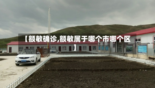 【额敏确诊,额敏属于哪个市哪个区】-第2张图片