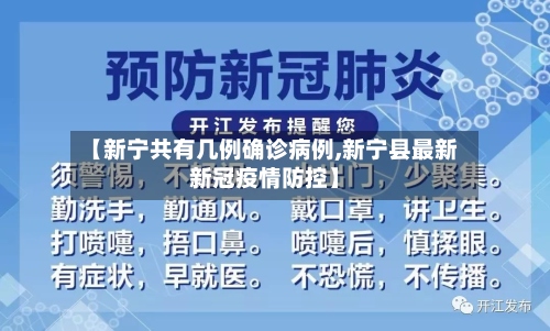 【新宁共有几例确诊病例,新宁县最新新冠疫情防控】
