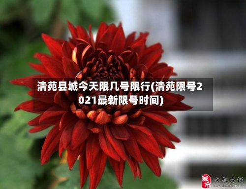 清苑县城今天限几号限行(清苑限号2021最新限号时间)-第2张图片