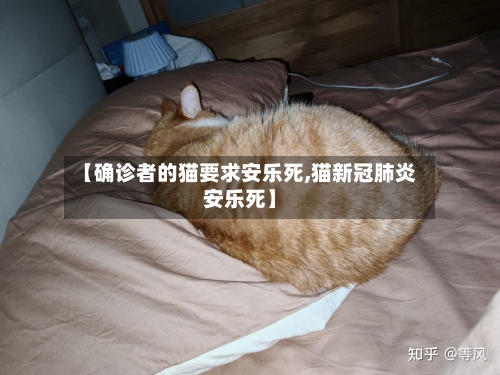 【确诊者的猫要求安乐死,猫新冠肺炎安乐死】