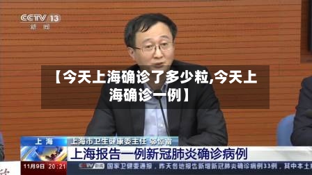 【今天上海确诊了多少粒,今天上海确诊一例】