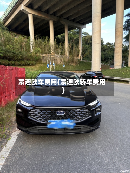 蒙迪欧车费用(蒙迪欧轿车费用)-第2张图片