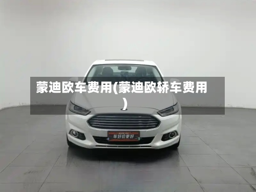 蒙迪欧车费用(蒙迪欧轿车费用)-第3张图片