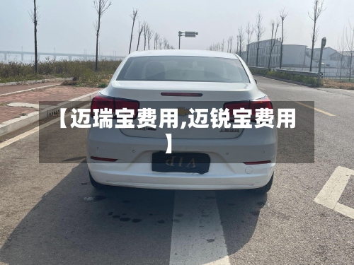 【迈瑞宝费用,迈锐宝费用】