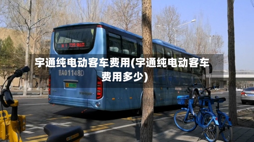 宇通纯电动客车费用(宇通纯电动客车费用多少)