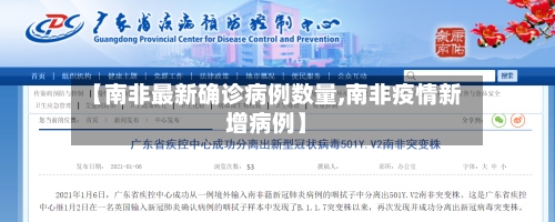 【南非最新确诊病例数量,南非疫情新增病例】-第2张图片