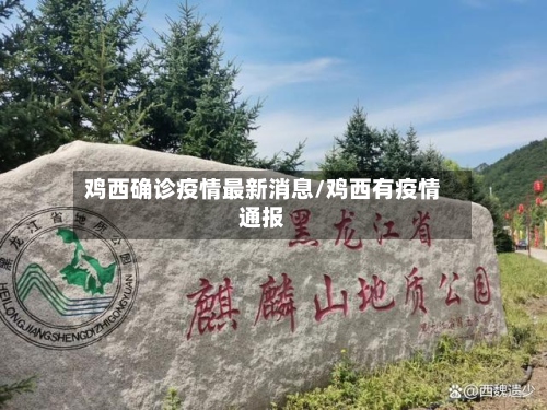 鸡西确诊疫情最新消息/鸡西有疫情通报-第2张图片