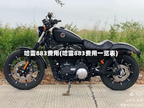 哈雷883费用(哈雷883费用一览表)-第2张图片