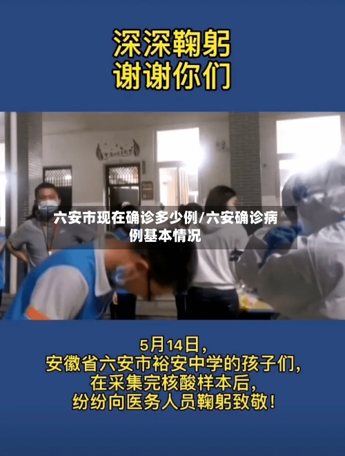 六安市现在确诊多少例/六安确诊病例基本情况-第2张图片