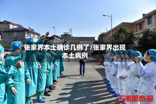 张家界本土确诊几例了/张家界出现本土病例