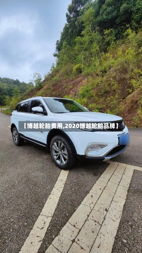 【博越轮胎费用,2020博越轮胎品牌】