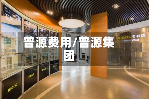 普源费用/普源集团