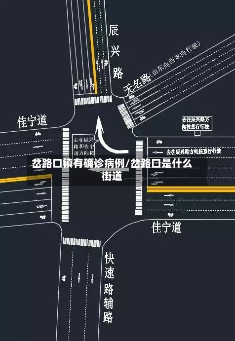 岔路口镇有确诊病例/岔路口是什么街道