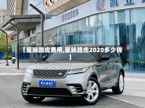 【星脉路虎费用,星脉路虎2020多少钱】-第3张图片