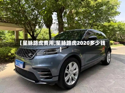 【星脉路虎费用,星脉路虎2020多少钱】-第2张图片