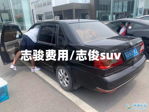 志骏费用/志俊suv-第2张图片