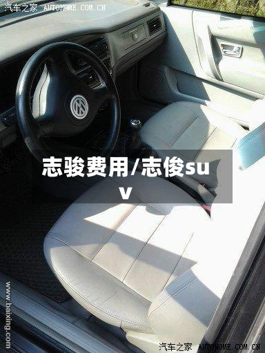 志骏费用/志俊suv