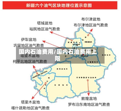 国内石油费用/国内石油费用上限