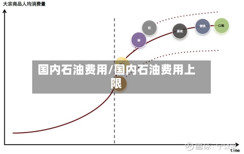 国内石油费用/国内石油费用上限-第2张图片