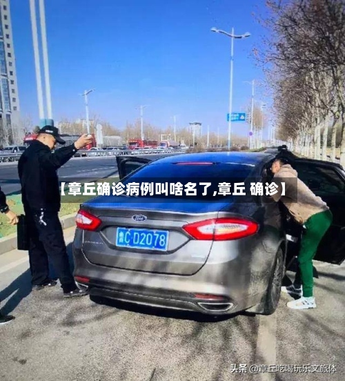 【章丘确诊病例叫啥名了,章丘 确诊】-第3张图片