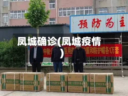 凤城确诊(凤城疫情)-第2张图片