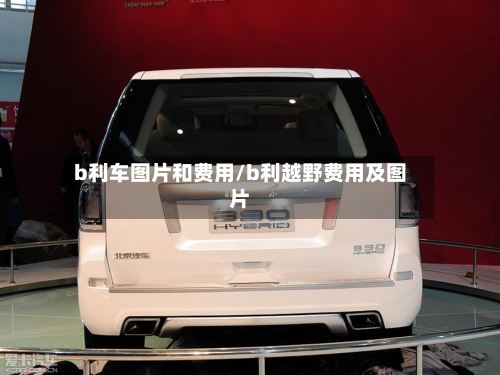 b利车图片和费用/b利越野费用及图片