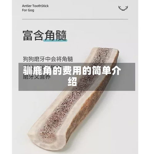 驯鹿角的费用的简单介绍-第2张图片
