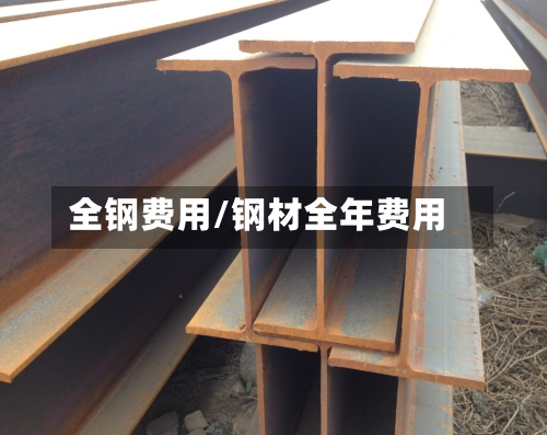 全钢费用/钢材全年费用