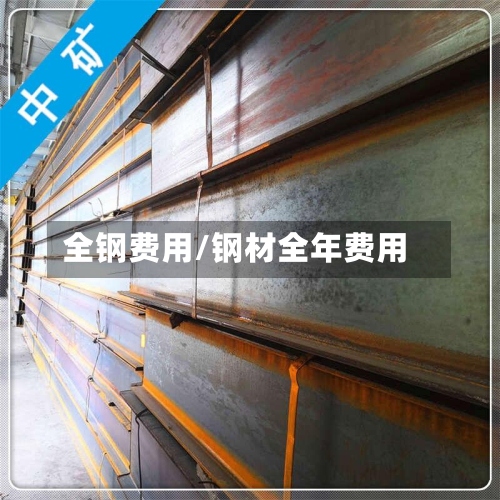 全钢费用/钢材全年费用-第2张图片