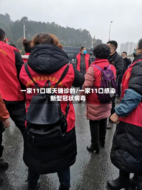 一家11口哪天确诊的/一家11口感染新型冠状病毒