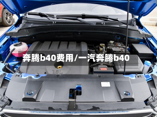 奔腾b40费用/一汽奔腾b40-第3张图片
