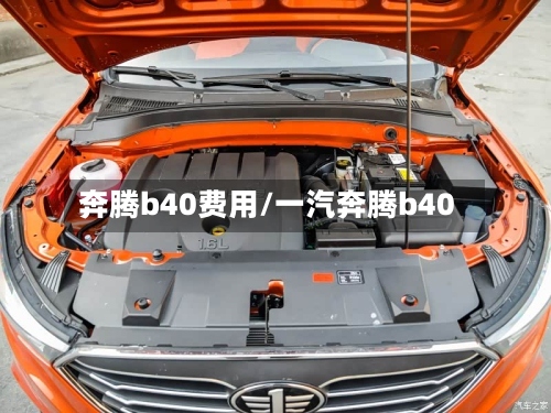奔腾b40费用/一汽奔腾b40
