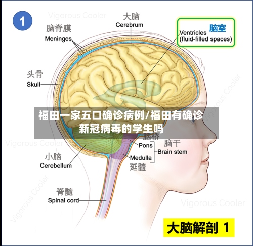 福田一家五口确诊病例/福田有确诊新冠病毒的学生吗