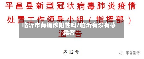 临沂市有确诊阳性吗/临沂有没有感染者-第3张图片