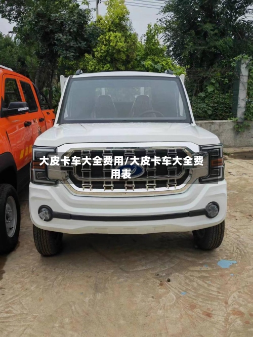 大皮卡车大全费用/大皮卡车大全费用表-第3张图片