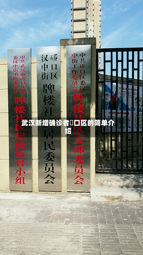 武汉新增确诊者硚口区的简单介绍
