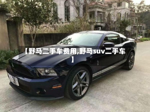 【野马二手车费用,野马suv二手车】