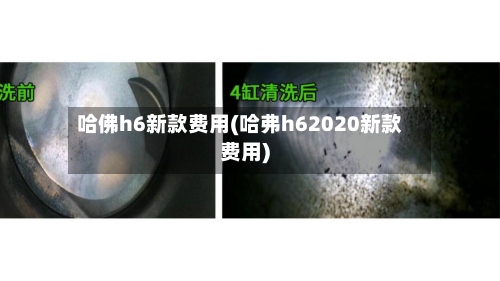 哈佛h6新款费用(哈弗h62020新款费用)-第2张图片