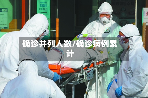 确诊并列人数/确诊病例累计-第2张图片