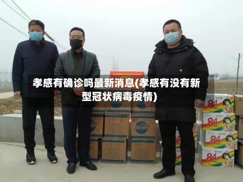 孝感有确诊吗最新消息(孝感有没有新型冠状病毒疫情)-第3张图片