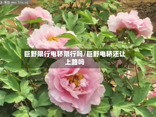 巨野限行电轿限行吗/巨野电轿还让上路吗